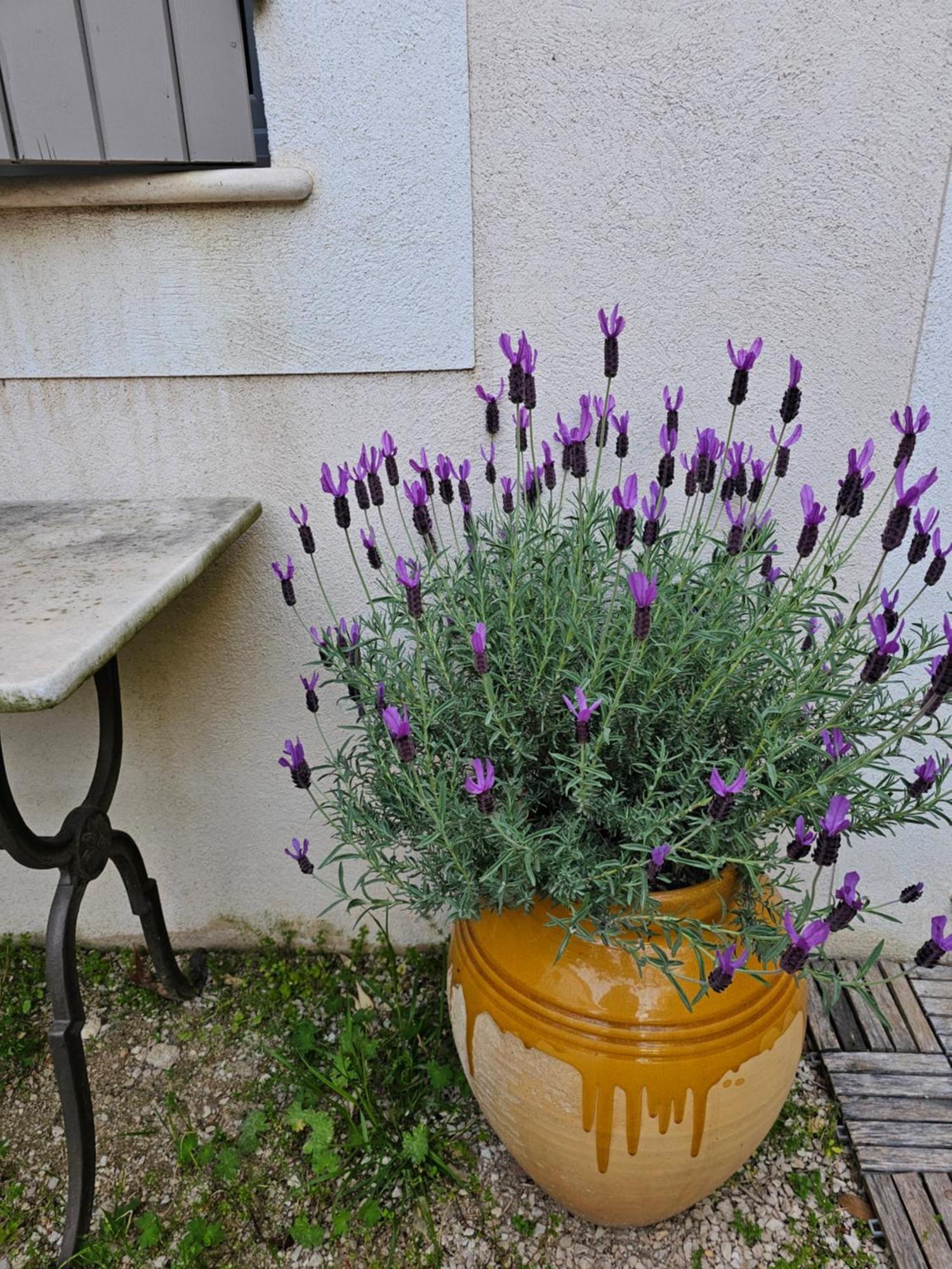 Gite Le Felibre Châteauneuf-lès-Martigues Εξωτερικό φωτογραφία